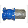 DIN Cast Iron Silent Check Valve Pn16